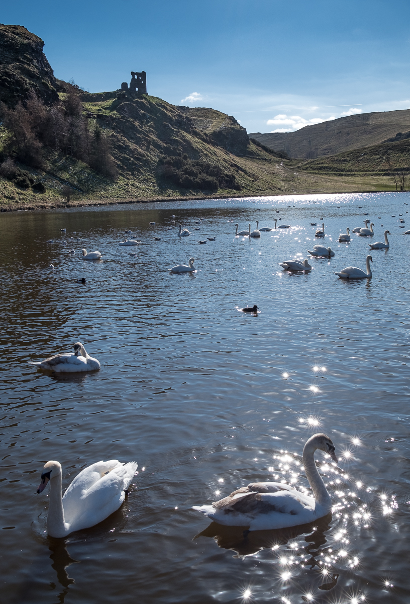 arthurs-seat