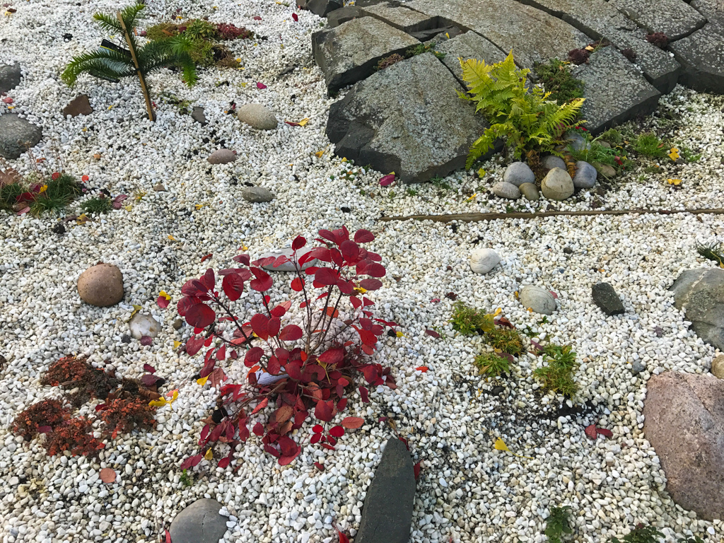 rock-garden