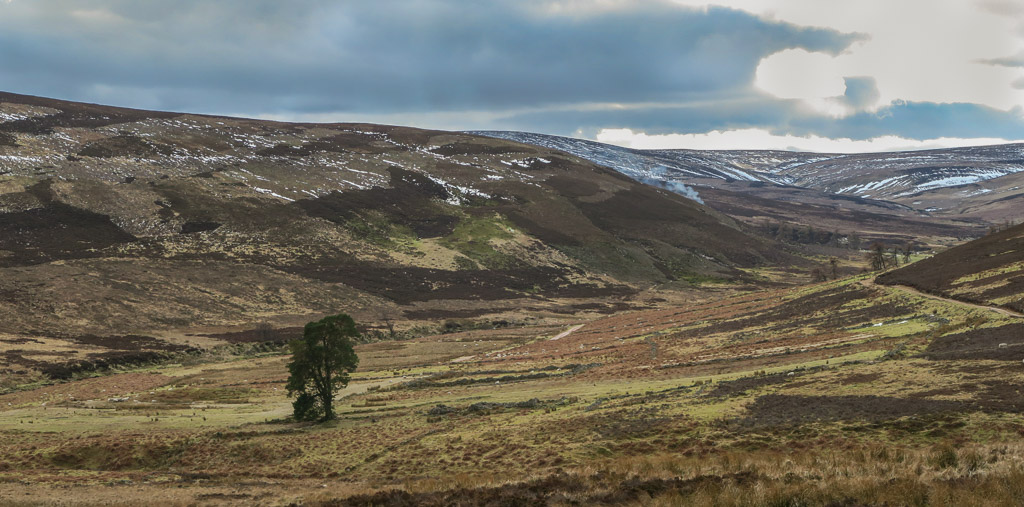 Looking-up-Glen-Dye