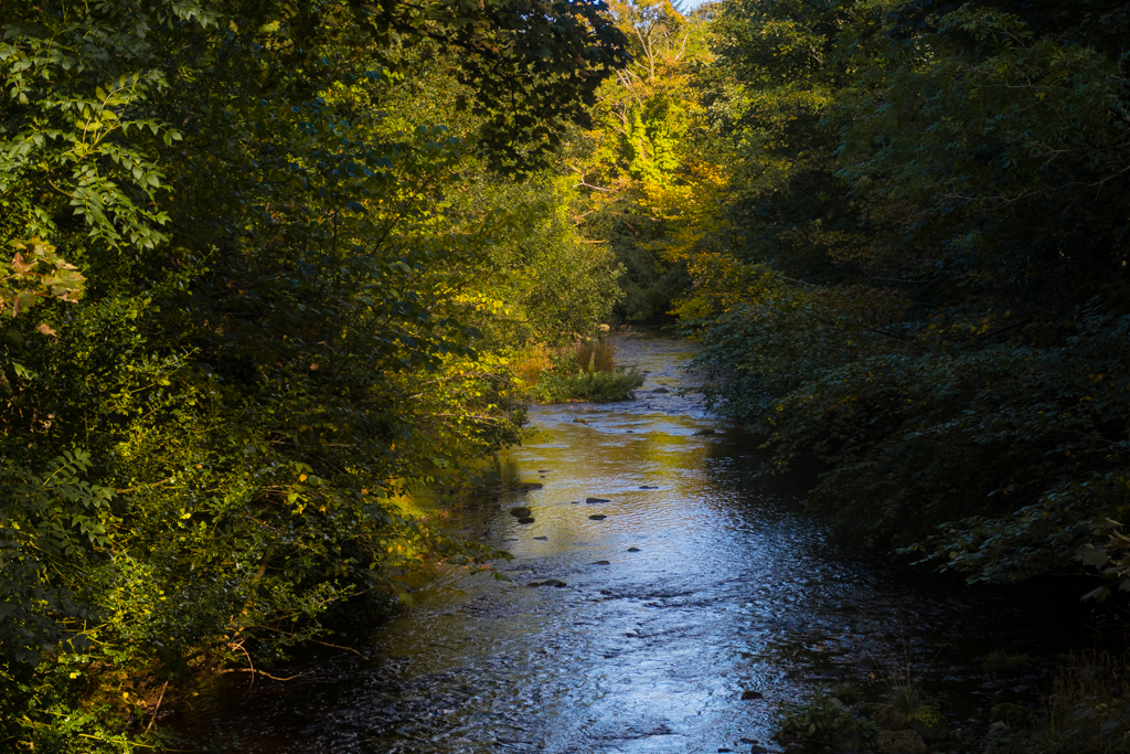 The Water of Leith near Colinton