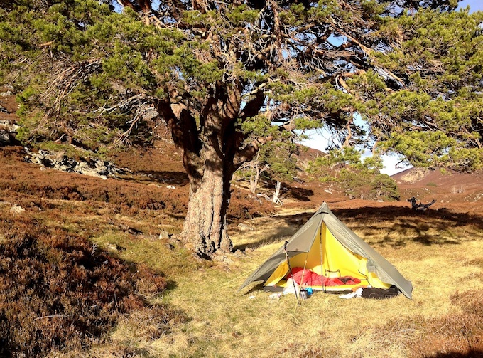 Feshie campsite